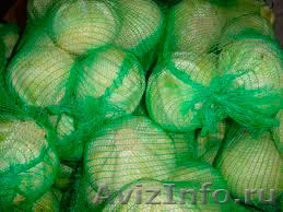 Капуста б/к, пекинка, цветная - <ro>Изображение</ro><ru>Изображение</ru> #1, <ru>Объявление</ru> #500833