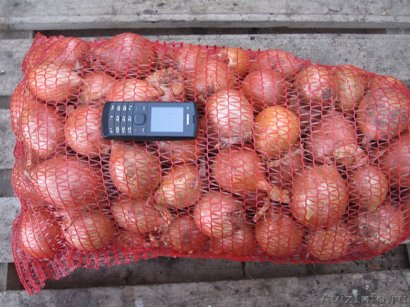 Продам отборный картофель, лук, морковь. - <ro>Изображение</ro><ru>Изображение</ru> #1, <ru>Объявление</ru> #527927