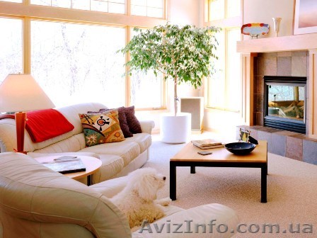 Поклейка обоев - 16 грн - <ro>Изображение</ro><ru>Изображение</ru> #1, <ru>Объявление</ru> #2567