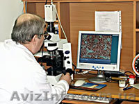 Тестирование организма по живой капле крови - <ro>Изображение</ro><ru>Изображение</ru> #1, <ru>Объявление</ru> #4305