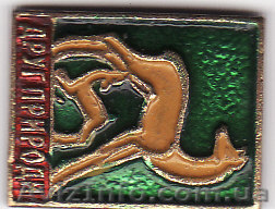 Значки "друг природы ",в  идеальном  состоянии. - <ro>Изображение</ro><ru>Изображение</ru> #1, <ru>Объявление</ru> #10914