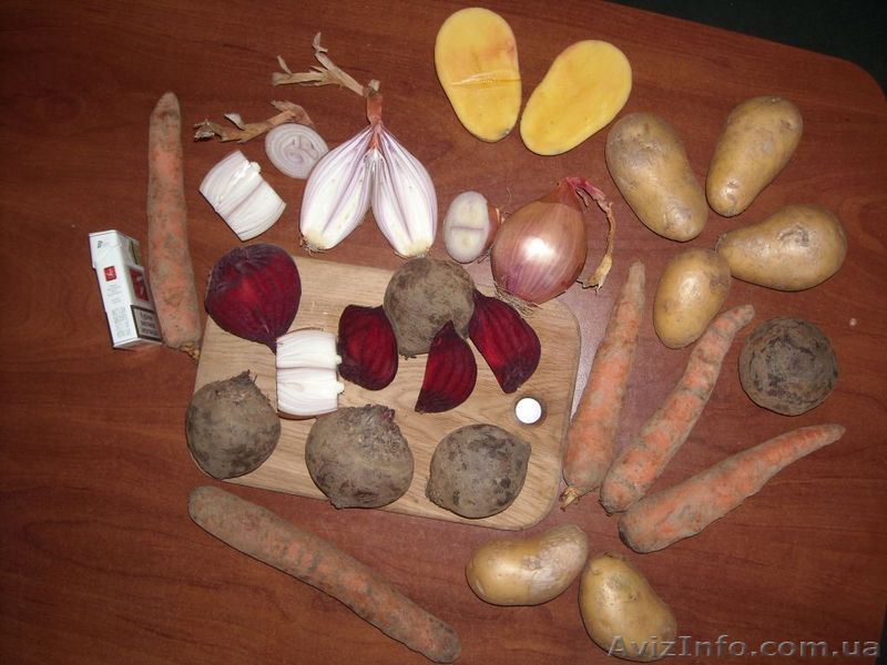 Лук Морква Буряк Капуста пекинская Картошка - <ro>Изображение</ro><ru>Изображение</ru> #1, <ru>Объявление</ru> #18441