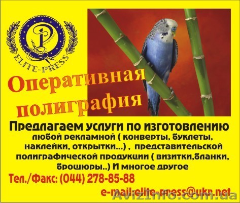 Предлагаем полиграфические услуги - <ro>Изображение</ro><ru>Изображение</ru> #1, <ru>Объявление</ru> #20268