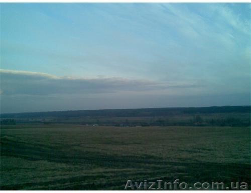 Продам участок 2,70га.ОСГ. -27000у.е.-участок.Асфальт.газ.свет.телефон - <ro>Изображение</ro><ru>Изображение</ru> #1, <ru>Объявление</ru> #20642