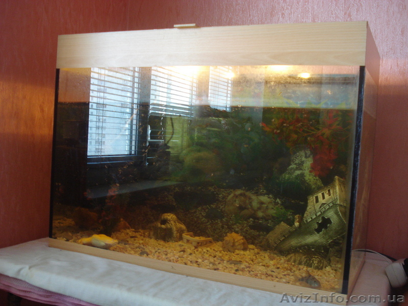 Аквариум 122 литра Киев - <ro>Изображение</ro><ru>Изображение</ru> #1, <ru>Объявление</ru> #37144