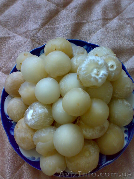 Веселка обыкновенная - <ro>Изображение</ro><ru>Изображение</ru> #1, <ru>Объявление</ru> #42757