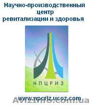 Директор дилерского центра - <ro>Изображение</ro><ru>Изображение</ru> #1, <ru>Объявление</ru> #42014