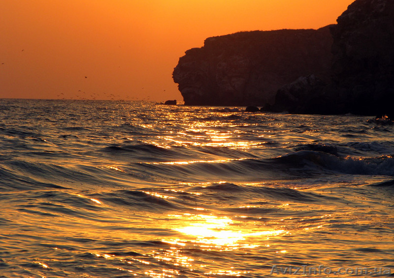 Разнообразный отдых на Крымском побережье !!! - <ro>Изображение</ro><ru>Изображение</ru> #1, <ru>Объявление</ru> #40005