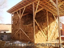 Продам сено в тюках - <ro>Изображение</ro><ru>Изображение</ru> #1, <ru>Объявление</ru> #52091