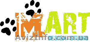 Создание сайтов, дизайн - Дизайн-студия «Mart» - <ro>Изображение</ro><ru>Изображение</ru> #1, <ru>Объявление</ru> #53091