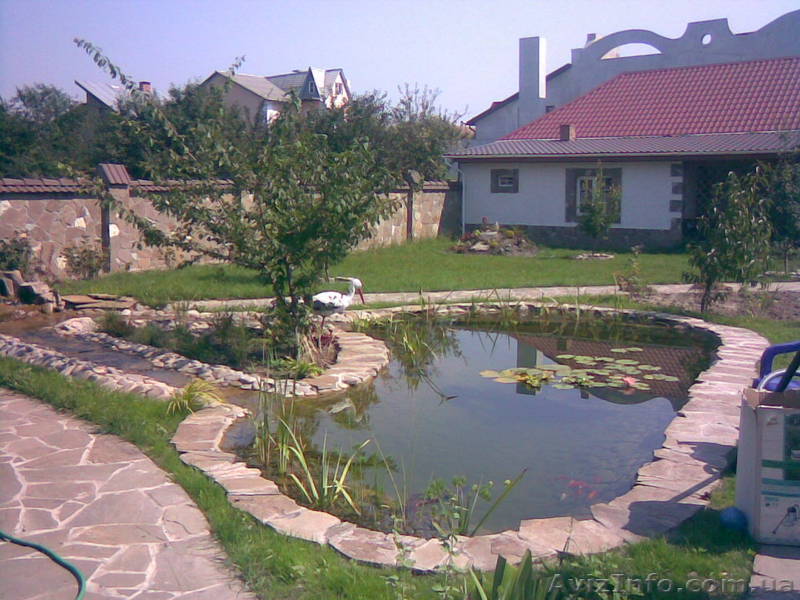 качественная чистка аквариумов и озер - <ro>Изображение</ro><ru>Изображение</ru> #1, <ru>Объявление</ru> #62600