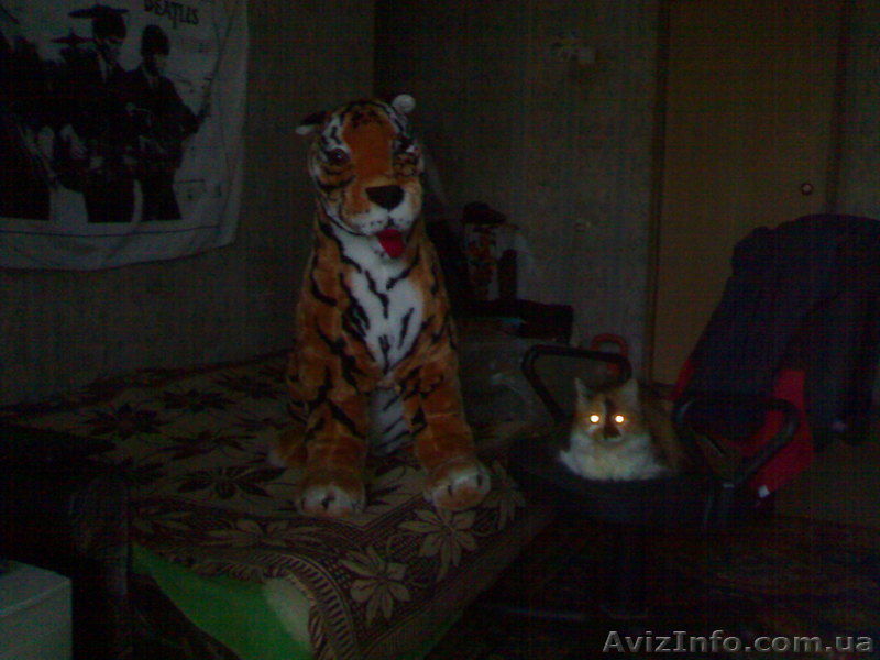 Большущая, мягкая, новая игрушка - ТИГР(ГОД ТИГРА). - <ro>Изображение</ro><ru>Изображение</ru> #1, <ru>Объявление</ru> #87336