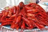 Продам живого речного рака - <ro>Изображение</ro><ru>Изображение</ru> #1, <ru>Объявление</ru> #81977