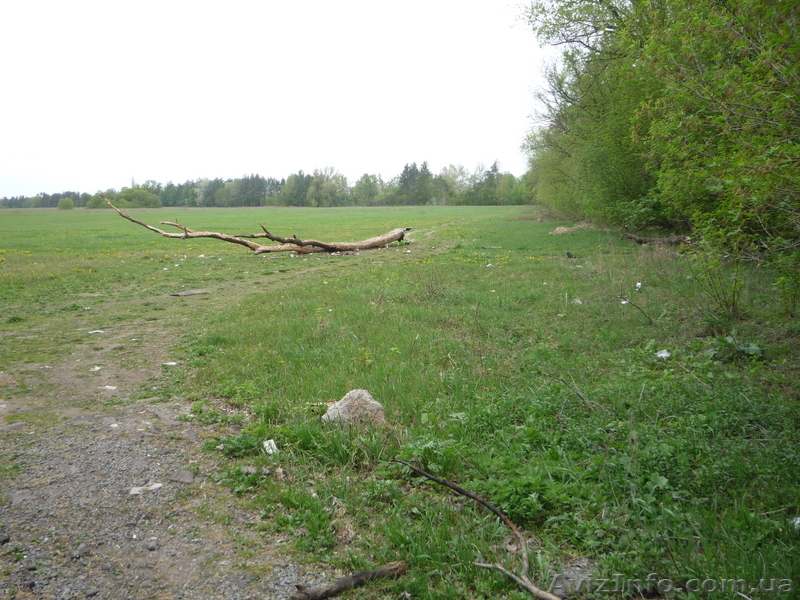 участок под коммерческую застройку - <ro>Изображение</ro><ru>Изображение</ru> #1, <ru>Объявление</ru> #94161