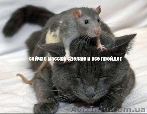 иев, массаж и обертывание у Вас дома  - <ro>Изображение</ro><ru>Изображение</ru> #1, <ru>Объявление</ru> #110783