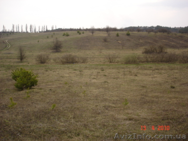 ПРОДАЮ УЧАСТОК 2га в МАКАРОВЕ - <ro>Изображение</ro><ru>Изображение</ru> #1, <ru>Объявление</ru> #110085