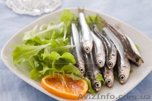 Хамса Хамсу Пеленгас Пиленгас - <ro>Изображение</ro><ru>Изображение</ru> #1, <ru>Объявление</ru> #109075