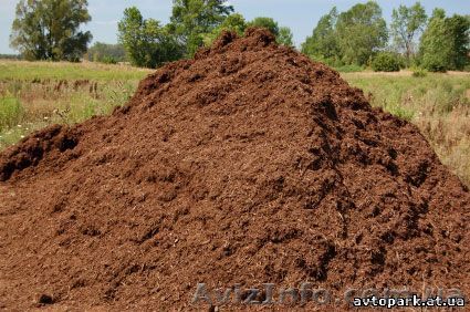 Предлягаю навоз конский,свинной. Помёт куриный. В городе Киев - <ro>Изображение</ro><ru>Изображение</ru> #1, <ru>Объявление</ru> #122243