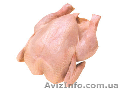 Куры домашние бройлер  - <ro>Изображение</ro><ru>Изображение</ru> #1, <ru>Объявление</ru> #151498
