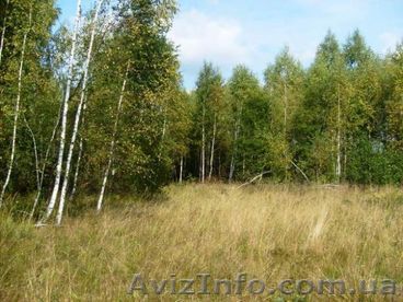 Участок, земля, дача, дом - <ro>Изображение</ro><ru>Изображение</ru> #1, <ru>Объявление</ru> #146378