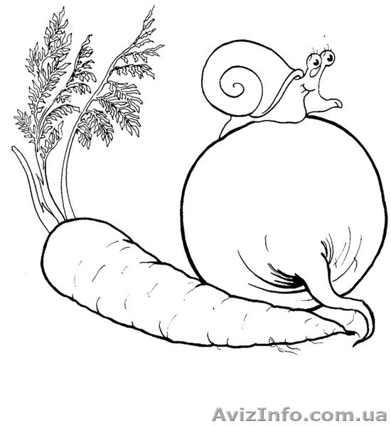 Морква та столовий буряк - <ro>Изображение</ro><ru>Изображение</ru> #1, <ru>Объявление</ru> #135783