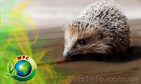 Террасная доска композитная. Террасная доска в Киеве - <ro>Изображение</ro><ru>Изображение</ru> #1, <ru>Объявление</ru> #139457