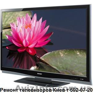 Телемастер. Ремонт телевизоров - <ro>Изображение</ro><ru>Изображение</ru> #1, <ru>Объявление</ru> #158527