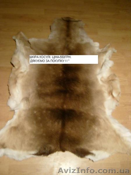 ПРОДАЖ ШКІРИ КОСУЛІ - <ro>Изображение</ro><ru>Изображение</ru> #1, <ru>Объявление</ru> #177651