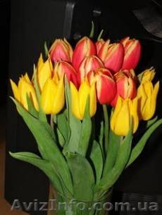 мукачево, ужгород, синевир на 8 марта, экскурсия на праздники, тур на  - <ro>Изображение</ro><ru>Изображение</ru> #1, <ru>Объявление</ru> #157352