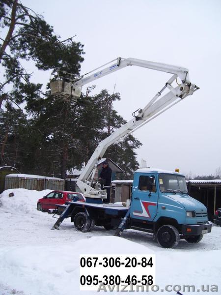 Обрезка деревьев, удаление деревьев, спилить дерево   Киев и область   деревьев - <ro>Изображение</ro><ru>Изображение</ru> #1, <ru>Объявление</ru> #174365
