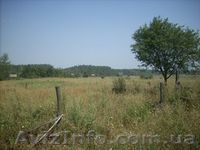 Участок, дачу, недвижимость под Киевом - <ro>Изображение</ro><ru>Изображение</ru> #1, <ru>Объявление</ru> #180814
