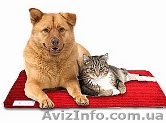 Коврики с подогревом для животных - <ro>Изображение</ro><ru>Изображение</ru> #1, <ru>Объявление</ru> #171673