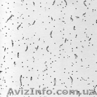 Подвесные потолки Miwi. - <ro>Изображение</ro><ru>Изображение</ru> #1, <ru>Объявление</ru> #157699