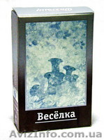 Гриб Веселка (фитотерапия) - <ro>Изображение</ro><ru>Изображение</ru> #1, <ru>Объявление</ru> #157348