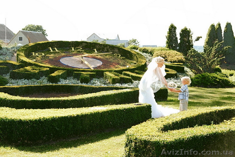 Фотограф Максим Лахно Отзывы, Фотографии - <ro>Изображение</ro><ru>Изображение</ru> #1, <ru>Объявление</ru> #191949