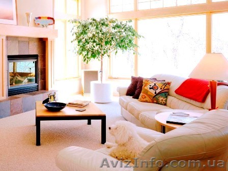 Поклейка Oбоев-15грн Плиточные-90грн. - <ro>Изображение</ro><ru>Изображение</ru> #1, <ru>Объявление</ru> #188261