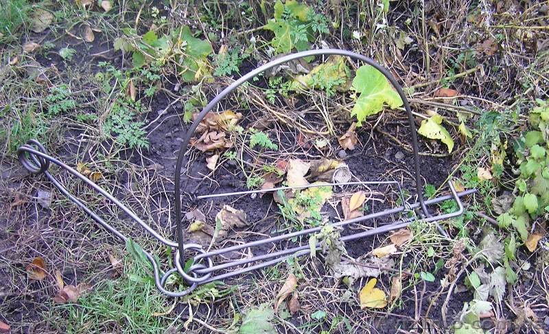 Капкан на бобра, выдру, барсука КПС-350. Бобровый капкан. - <ro>Изображение</ro><ru>Изображение</ru> #1, <ru>Объявление</ru> #218274