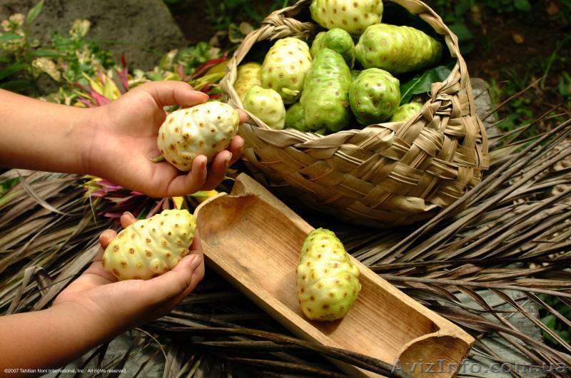   Сок из супер фрукта  - <ro>Изображение</ro><ru>Изображение</ru> #1, <ru>Объявление</ru> #219903