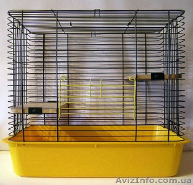 Большая клетка для хорьков или шиншил h90х80х45 - <ro>Изображение</ro><ru>Изображение</ru> #1, <ru>Объявление</ru> #224768