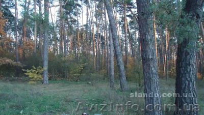 Продам участок 10 соток в Киеве по ул. Богатырская - <ro>Изображение</ro><ru>Изображение</ru> #1, <ru>Объявление</ru> #234655