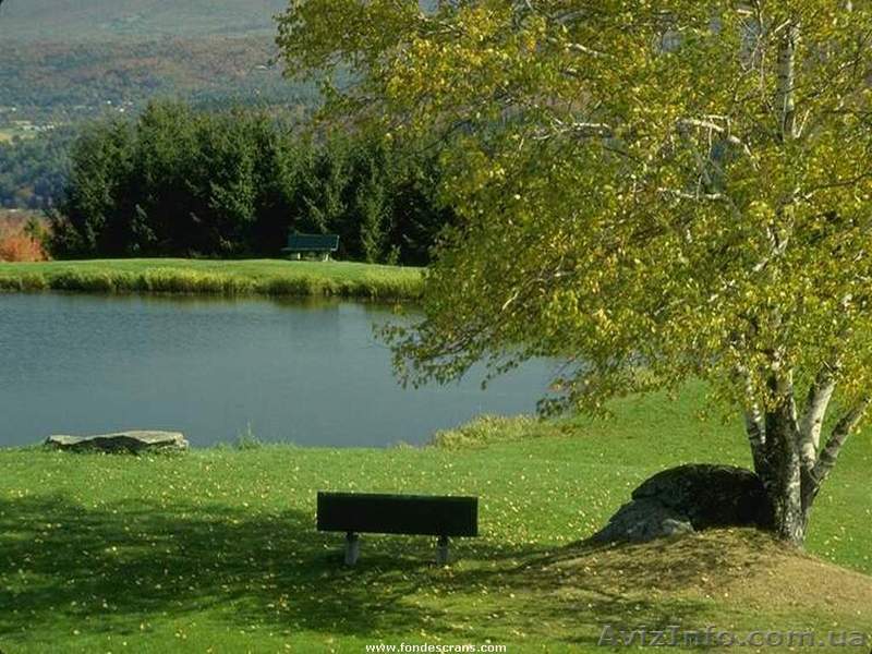 Продам участки Бориспольский район село Гнидын - <ro>Изображение</ro><ru>Изображение</ru> #1, <ru>Объявление</ru> #274523