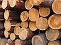 ЛЕС КРУГЛЫЙ СОСНА, Брус, Доска, Пиломатериалы - <ro>Изображение</ro><ru>Изображение</ru> #1, <ru>Объявление</ru> #266335
