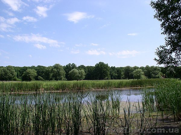 Хатынка возле речки - <ro>Изображение</ro><ru>Изображение</ru> #1, <ru>Объявление</ru> #250082