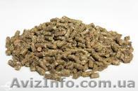 Продам корм для шиншил - <ro>Изображение</ro><ru>Изображение</ru> #1, <ru>Объявление</ru> #273933