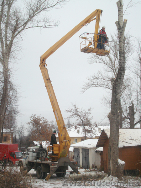 Удаление деревьев киев - <ro>Изображение</ro><ru>Изображение</ru> #1, <ru>Объявление</ru> #302850