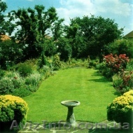 чистка участков 067339 35 31 - <ro>Изображение</ro><ru>Изображение</ru> #1, <ru>Объявление</ru> #282002