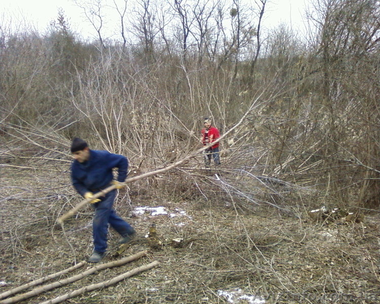 уборка участков 067 339 35 31 - <ro>Изображение</ro><ru>Изображение</ru> #1, <ru>Объявление</ru> #282005