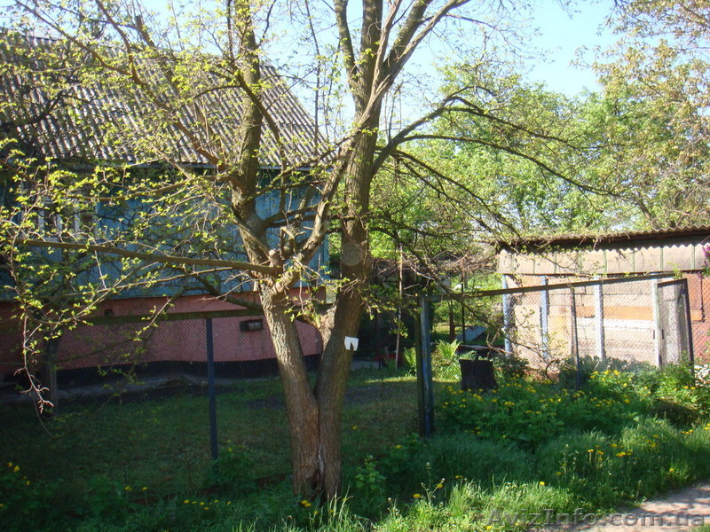 Дача в Осокорках - <ro>Изображение</ro><ru>Изображение</ru> #1, <ru>Объявление</ru> #282866