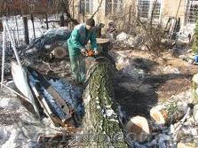 вывоз мусора 067 339 35 31 - <ro>Изображение</ro><ru>Изображение</ru> #1, <ru>Объявление</ru> #281444