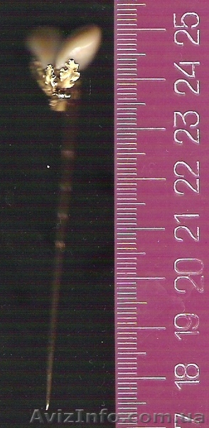 ЗОЛОТО. ЗАКОЛКА ДЛЯ ВОЛОС. - <ro>Изображение</ro><ru>Изображение</ru> #1, <ru>Объявление</ru> #320363